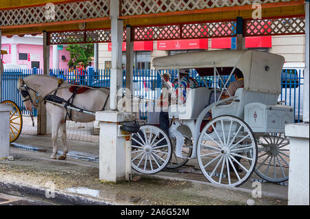 Nassau, Bahama-September 21/2019: Stroh Vending ist Bahama ältesten Branchen. Touristische Herde die Straßen entlang den Hafen von Nassau zu Essen und Einkaufen. Ho Stockfoto