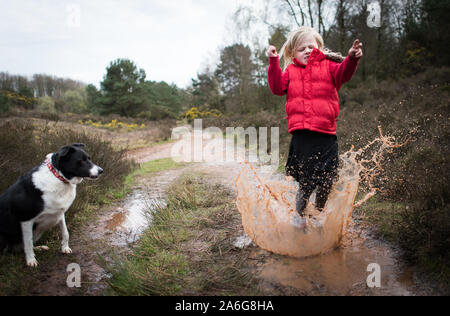 Hübsches kleines Mädchen springen in sehr schlammigen Pfütze das Spielen mit Ihrem Hund in der kalten Herbst Wetter in Stoke-on-Trent, Staffordshire Stockfoto