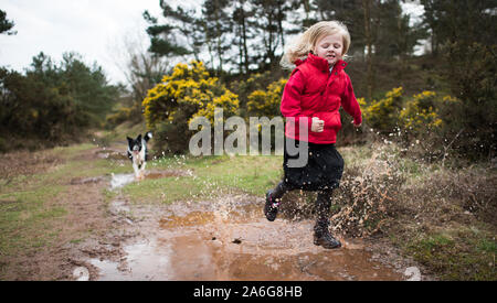 Hübsches kleines Mädchen springen in sehr schlammigen Pfütze das Spielen mit Ihrem Hund in der kalten Herbst Wetter in Stoke-on-Trent, Staffordshire Stockfoto