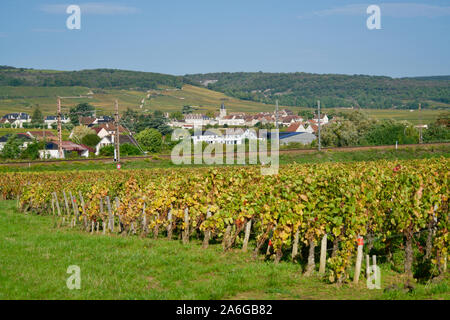 Weinberge vor Vosne-Romanée Stockfoto