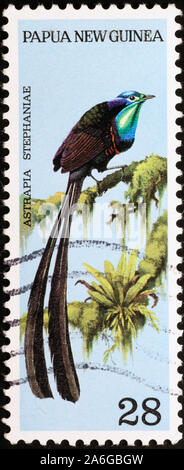 Schönes Paradies Vogel auf Briefmarke von Papua-neuguinea Stockfoto