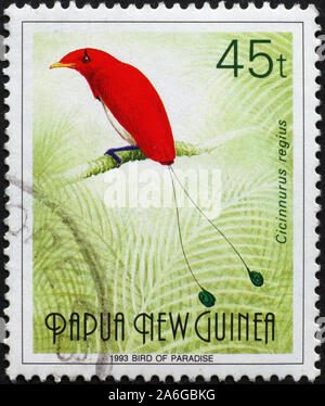 King Bird-of-paradise auf Briefmarke von Papua-neuguinea Stockfoto