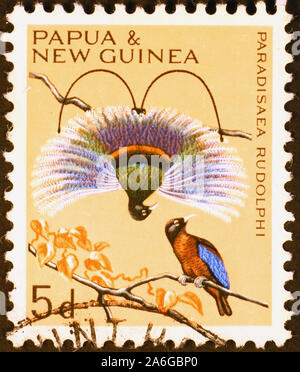 Zwei Vögel des Paradieses auf Briefmarke von Papua-neuguinea Stockfoto