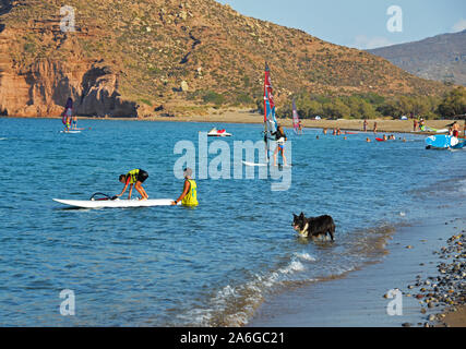 Süßer Hund baden, während Jungen ist Lernen am Strand von Kouremenos zum Windsurfen, Kreta, Griechenland. Stockfoto