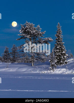 Ein in der Nähe von Vollmond steigt über Pulju, Lappland, orange leuchtende durch den gefrorenen Luft. Stockfoto