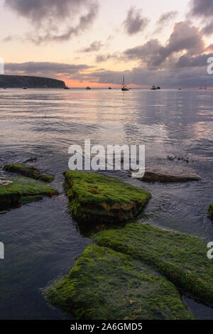 Ruhige bemoosten Ozean Felsen bei Sonnenaufgang Stockfoto