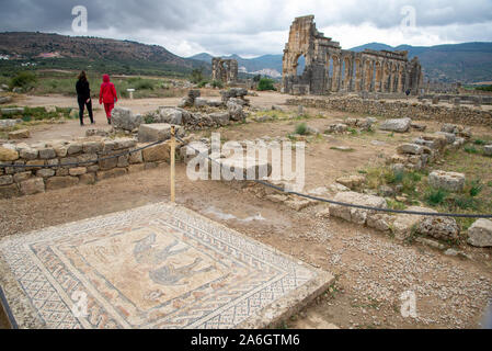 Mosaikfußboden an römischen Ruinen von Volubilis in Marokko Stockfoto
