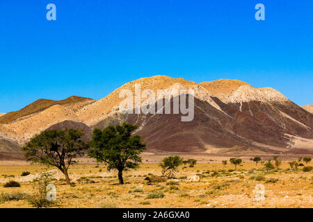 Landschaft in Namibia, Afrika Stockfoto