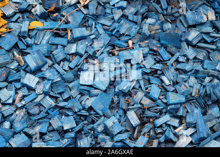 Farbige dekorative Holz chips closeup Hintergrund. Blau dekorative Hackschnitzel sind ein sicherer Werkstoff für Laub bedecken den Boden. Umweltfreundliche Holz für den Garten d Stockfoto