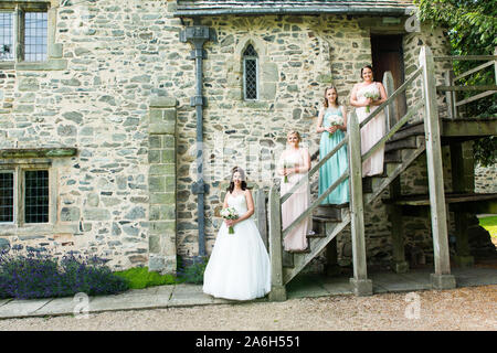 Die schöne Braut und Brautjungfern für einige Bilder nach der großen Hochzeit posing Stockfoto