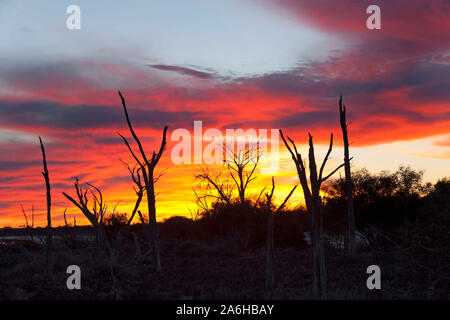 Cordillera Salt See, Victoria Plains Westaustraliens Stockfoto