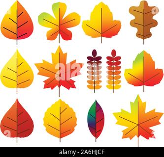Blätter des Herbstes, der Symbole festlegen Stock Vektor