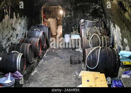 Fässer mit Wein innerhalb des kleinen Weinkeller auf dem Hügel am Rande des Dorfes sind in Bogacs, Ungarn gesehen am 29. März 2019 Bogacs Weinkeller ist ein Ort, wo Menschen den Geschmack der feurig Rot- und Weißwein aus der Gegend von lokalen Winzer © Michal Fludra/Alamy Leben Nachrichten aus und kaufen Stockfoto