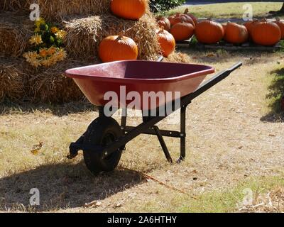 Rote Schubkarre mit haybales und Kürbisse im Hintergrund Stockfoto