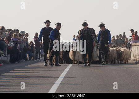 Hortobagy, Ungarn. 26 Okt, 2019. Hirten in traditionellen Outfits führen eine Herde von Racka Schafe über eine Brücke während der Feier der Ende der Beweidung Jahreszeit in der Großen Ungarischen Ebenen in Hortobagy, Ungarn am Okt. 26, 2019. Credit: Attila Volgyi/Xinhua/Alamy leben Nachrichten Stockfoto