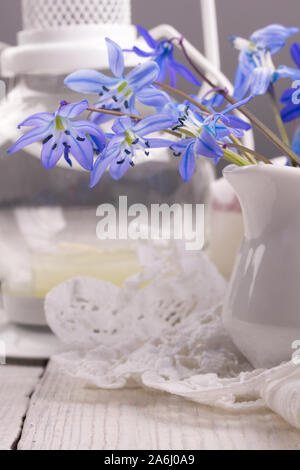 Feder blau Schneeglöckchen auf weißem Hintergrund Stockfoto