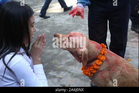 Kathmandu, Nepal. 27 Okt, 2019. Eine Frau verehrt einen Hund während Tihar Festival in Kathmandu, Nepal, Okt. 27, 2019. "Tihar', das hinduistische Lichterfest gefeiert für fünf Tage. Jeder Tag ist zu verschiedenen religiösen Führern wie Kuh, Krähe und Hund, was bedeutet tiefe Beziehungen zwischen Mensch und Tier gewidmet. Credit: Sunil Sharma/Xinhua/Alamy leben Nachrichten Stockfoto