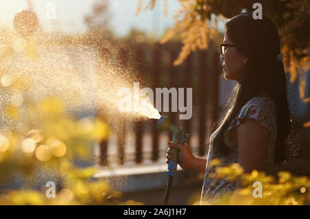 Frauen Bewässerung von Pflanzen mit Sprinklern im warmen Sonnenlicht Stockfoto