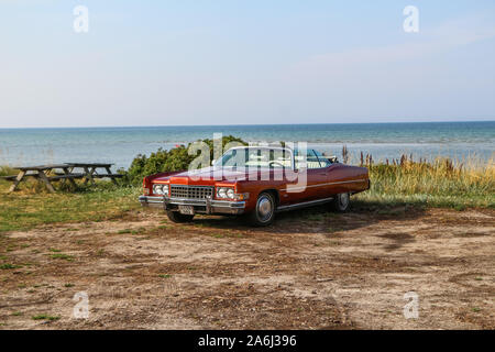 Red Cadillac Eldorado ist während der jeden Montag retro Autos Besitzer treffen auf dem öffentlichen Strand von Hevringholm gesehen, Dänemark am 29. Juli 2019 © Michal Fludra/Alamy leben Nachrichten Stockfoto