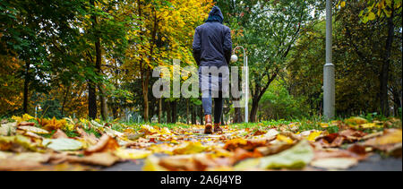 Eine Frau in Schwarz Jacke wandern in einem Park entlang dem Bürgersteig mit Laub übersät. Der Begriff des Umsatzes Jahreszeiten. Wetter Hintergrund Stockfoto