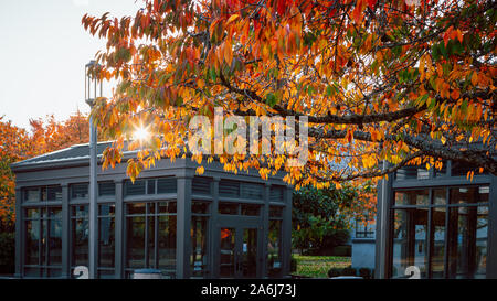 Salem, Oregon - Oktober 27, 2019: Szene von Oregon State Capitol State Park im Herbst Saison Stockfoto