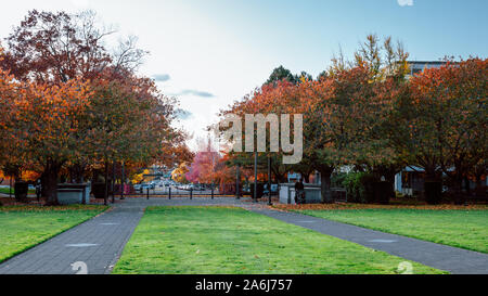 Salem, Oregon - Oktober 27, 2019: Szene von Oregon State Capitol State Park im Herbst Saison Stockfoto