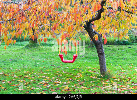 Red Kinder Schwingen auf dem Herbst sonniger Tag Stockfoto