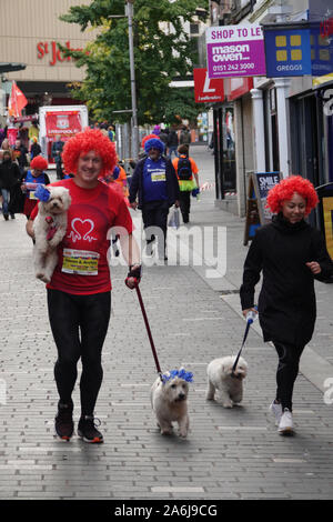 Liverpool, Großbritannien. 27. Oktober 2019. Das Arriva Liverpool Scouse 5k Fun Run, wo jeder eine Auswahl der Perücke Farbe wird am Tag zu tragen. Farben gehören Pretty Pink, Rot, Toffee Kopite Blau, klassischem Schwarz und Mülltonne Lila. Credit: Ken Biggs/Alamy Leben Nachrichten. Stockfoto