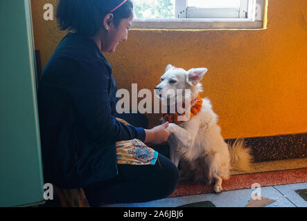 Kathmandu, Nepal. 27 Okt, 2019. Ein Mädchen spielt mit ihrem Hund während des Festival. Kukur Tihar oder Kukur Puja bedeutet wörtlich die Anbetung der Hunde. Dies ist ein Mini-Festival innerhalb eines größeren Hindu Feier von Diwali, das Festival der Lichter. Nach nepalesischer Tradition, einer der festlichen Tage ist ausschließlich für die meisten gewidmet der menschlichen Freund und Wächter gewidmet. In der hinduistischen Religion, ein Hund ist ein heiliges Tier, die eine besondere Bindung an einen Menschen zu haben, um uns auf unserem Weg in den Himmel zu begleiten. Credit: SOPA Images Limited/Alamy leben Nachrichten Stockfoto