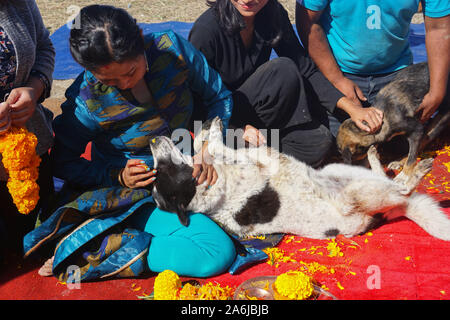 Kathmandu, Nepal. 27 Okt, 2019. Eine nepalesische Frau gilt Garland und zinnoberrot Pulver zu Ihrem Hund während des Festivals. Kukur Tihar oder Kukur Puja bedeutet wörtlich die Anbetung der Hunde. Dies ist ein Mini-Festival innerhalb eines größeren Hindu Feier von Diwali, das Festival der Lichter. Nach nepalesischer Tradition, einer der festlichen Tage ist ausschließlich für die meisten gewidmet der menschlichen Freund und Wächter gewidmet. In der hinduistischen Religion, ein Hund ist ein heiliges Tier, die eine besondere Bindung an einen Menschen zu haben, um uns auf unserem Weg in den Himmel zu begleiten. Credit: SOPA Images Limited/Alamy leben Nachrichten Stockfoto