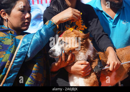 Kathmandu, Nepal. 27 Okt, 2019. Eine nepalesische Frau gilt Garland und zinnoberrot Pulver zu Ihrem Hund während des Festivals. Kukur Tihar oder Kukur Puja bedeutet wörtlich die Anbetung der Hunde. Dies ist ein Mini-Festival innerhalb eines größeren Hindu Feier von Diwali, das Festival der Lichter. Nach nepalesischer Tradition, einer der festlichen Tage ist ausschließlich für die meisten gewidmet der menschlichen Freund und Wächter gewidmet. In der hinduistischen Religion, ein Hund ist ein heiliges Tier, die eine besondere Bindung an einen Menschen zu haben, um uns auf unserem Weg in den Himmel zu begleiten. Credit: SOPA Images Limited/Alamy leben Nachrichten Stockfoto