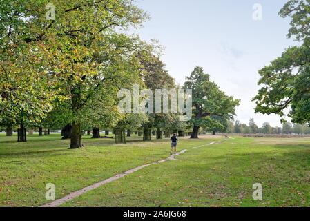 Rückansicht eines mittleren gealterten Mann laufen auf einem Wanderweg in Bushy Park Hampton Court West London England Großbritannien Stockfoto