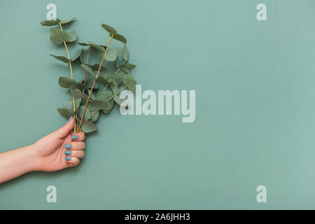 Weibliche hand mit trendigen Maniküre und Zweige von Eukalyptus auf grünem Hintergrund mit Kopie Raum. Stockfoto