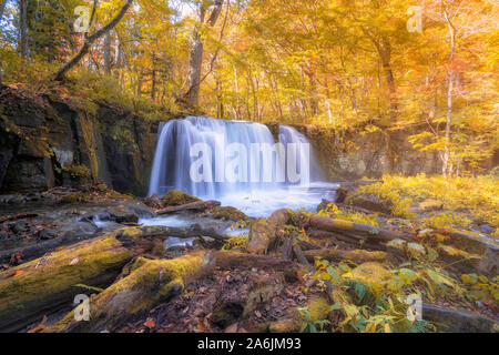 Sehen sie die schönen Wasserfall in Oirase Schlucht im Herbst, Tohoku, Aomori Stockfoto