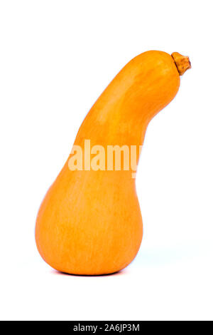 Kürbis isoliert auf einem weißen. Sweet pear-shaped Farbe Orange Kürbis Stockfoto