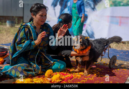 Kathmandu, Nepal. 27 Okt, 2019. Eine Frau gilt Garland zu ein Hund während des Festivals. Tihar ist 5 Tage lang hinduistische Fest, in dem nepalesischen Volk Anbetung Hund am zweiten Tag des tihar Festival auch bekannt als kukur Puja. Credit: SOPA Images Limited/Alamy leben Nachrichten Stockfoto