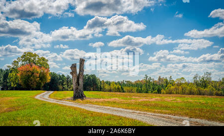 Schotterstraße vorbei an toten Baum im Feld mit einem Himmel voller Wolken cumulus Stockfoto