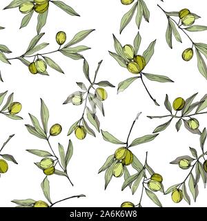 Olive Tree in einem Vektor Stil isoliert. Grün gravierten Tinte Art. Stock Vektor