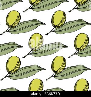 Olive Tree in einem Vektor Stil isoliert. Grün gravierten Tinte Art. Stock Vektor