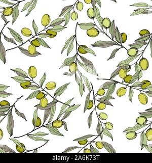 Olive Tree in einem Vektor Stil isoliert. Grün gravierten Tinte Art. Stock Vektor