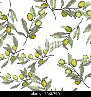 Olive Tree in einem Vektor Stil isoliert. Grün gravierten Tinte Art. Stock Vektor