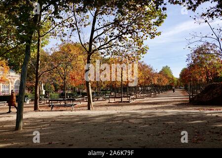 Schöne herbstliche Farben orange und gelb. Herbst in den Luxemburg Gärten, Oktober in Paris, Frankreich Stockfoto