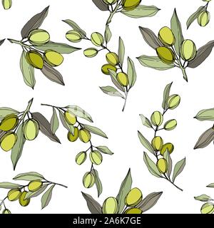 Olive Tree in einem Vektor Stil isoliert. Grün gravierten Tinte Art. Stock Vektor