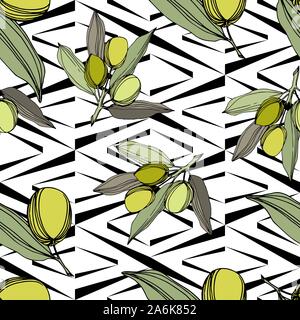 Olive Tree in einem Vektor Stil isoliert. Grün gravierten Tinte Art. Stock Vektor