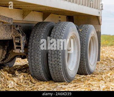 Große Körner Lkw mit Tandemachse Zwillingsräder mit runderneuerten Reifen aus Gummi in Bauernhof Feld während der Erntezeit geparkt. farm Fahrzeug Wartung, Sicherheit Stockfoto