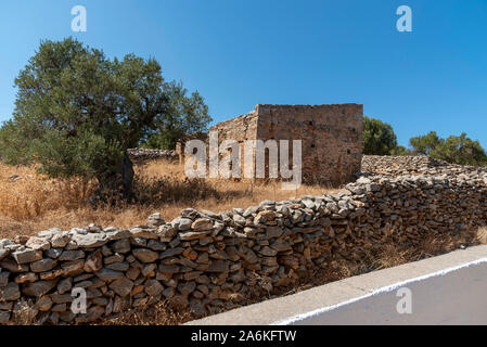 Kato Seles, nördlichen Kreta, Griechenland. Oktober 2019. Olivenbäume wachsen innerhalb von Eisenstein Mauern auf einem alten Bauernhof im Norden von Kreta in der Nähe von Seles Stockfoto