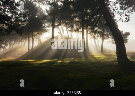 Atemberaubende dappled Licht wie die Sonne strömt durch Bäume auf einem nebligen Morgen, UK Landschaften Stockfoto