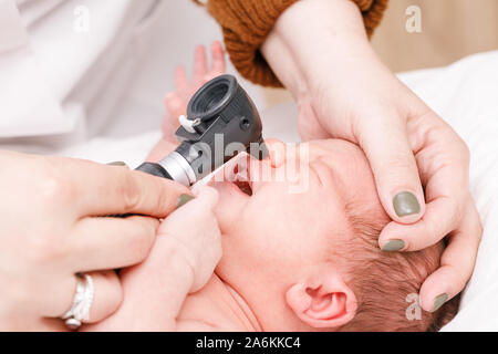 Kinderarzt untersucht zwei Wochen altes Baby Nase in der pädiatrischen Klinik. Arzt mit otoskop (auriscope) nasalen Durchgang zu prüfen. Neugeborene HNO-Check-up con Stockfoto