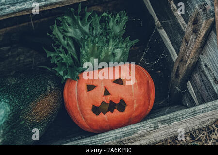 Halloween Kürbis liegt in einer alten Holzkiste mit Spinnweben bedeckt, ein Bild, das dem Konzept von Halloween. Stockfoto