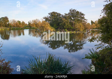 Behälter im Herbst auf Walthamstow Feuchtgebiete, North London, Großbritannien Stockfoto